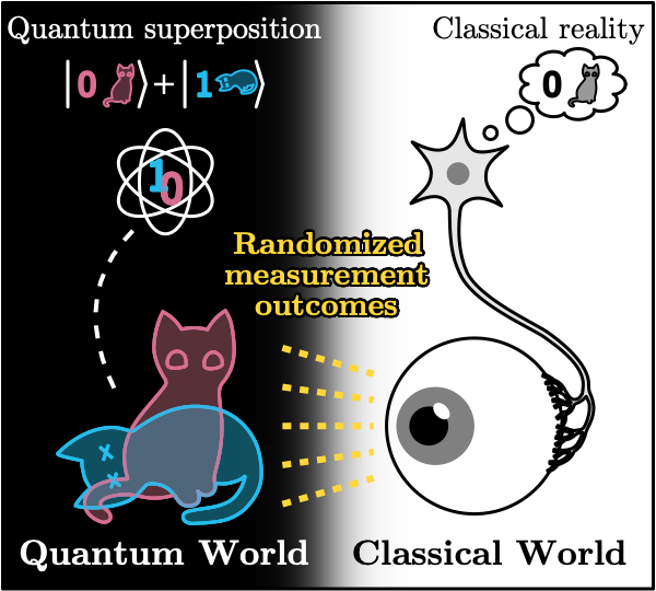Observing Schrödinger's cat by artifitial intelligence.
