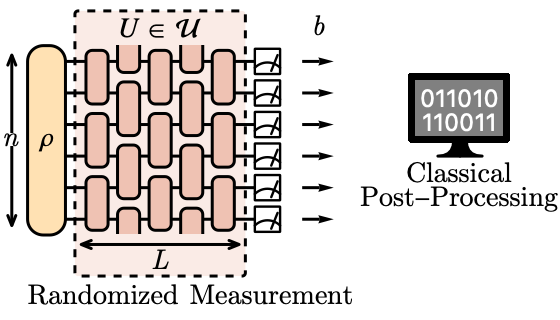 Scalable and flexible classical shadow tomography with tensor networks