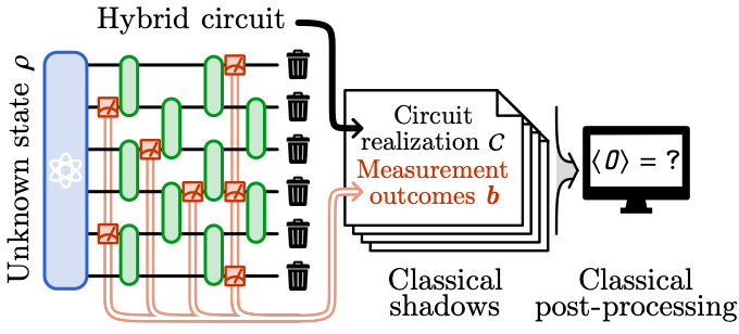 Measurement-induced criticality is tomographically optimal