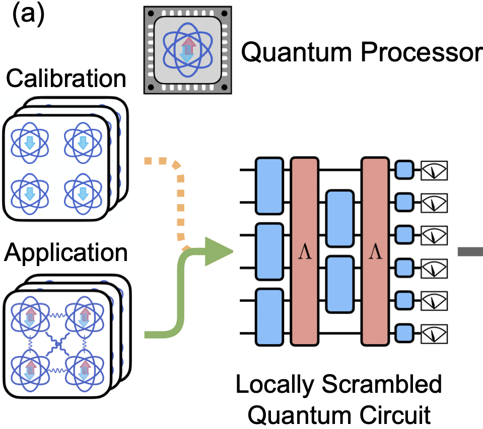 Demonstration of robust and efficient quantum property learning with shallow shadows