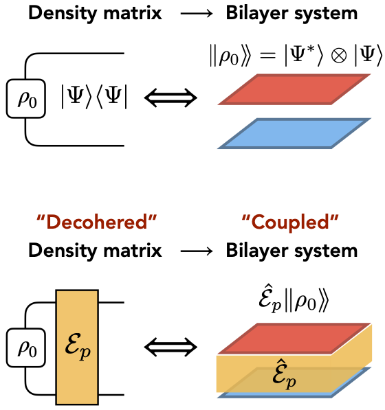 Symmetry protected topological phases under decoherence
