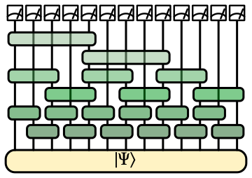 Holographic classical shadow tomography